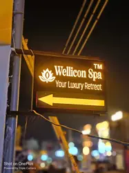 Wellicon Luxury Spa Sector 46 Gurgaon