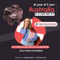 Wisdom Overseas Consultant