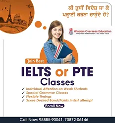 Wisdom Overseas Consultant