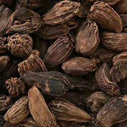 Balaji Provision Store