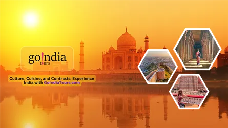 Go India Tours