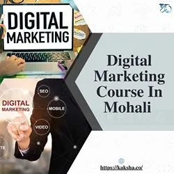 School of Digital Marketing