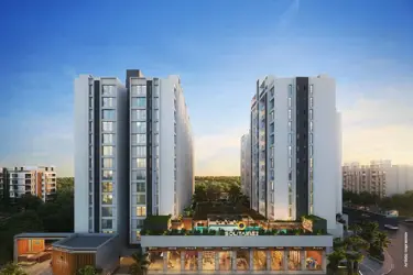 The Solitairee The Solitairee