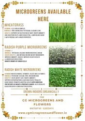 CG MICROGREENS AND FLOWERS CG MICROGREENS AND FLOWERS