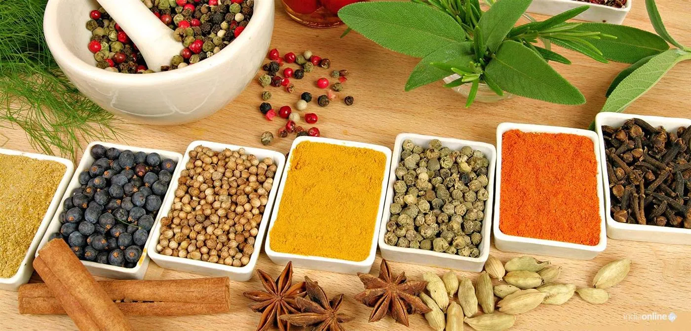 Physiotherapy Clinic Physiotherapy Clinic