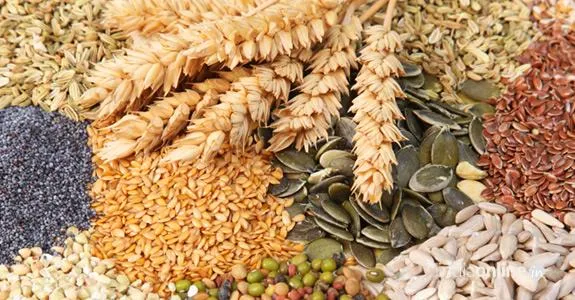 Karma Agro & Machine Tools Karma Agro & Machine Tools