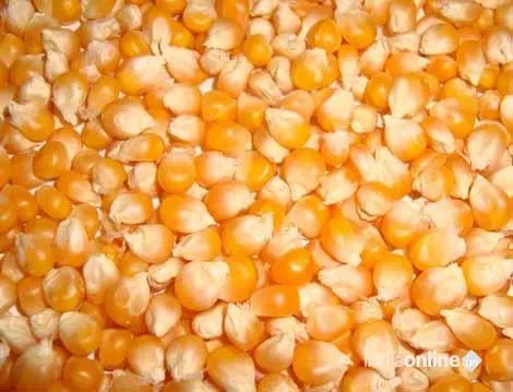 Karma Agro & Machine Tools Karma Agro & Machine Tools