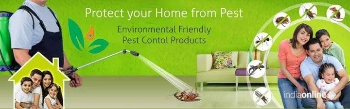 I Care Pest Solution I Care Pest Solution