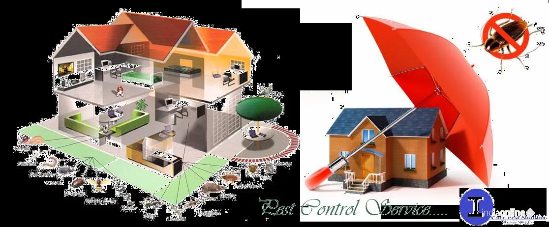 I Care Pest Solution I Care Pest Solution