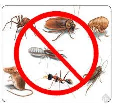 I Care Pest Solution I Care Pest Solution