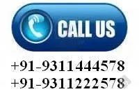 Shainex Packers and Movers Services