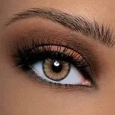 Siddharth opticals Siddharth opticals