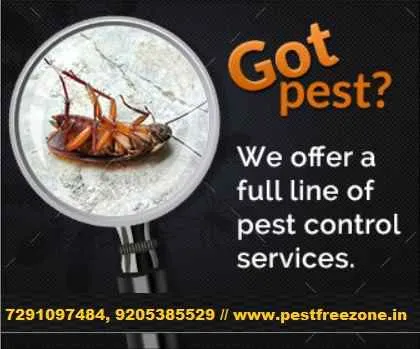 Pest Free Zone