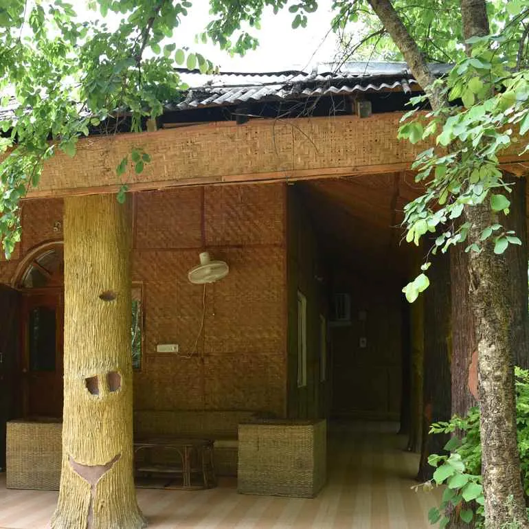 Royal Jungle Retreat Royal Jungle Retreat