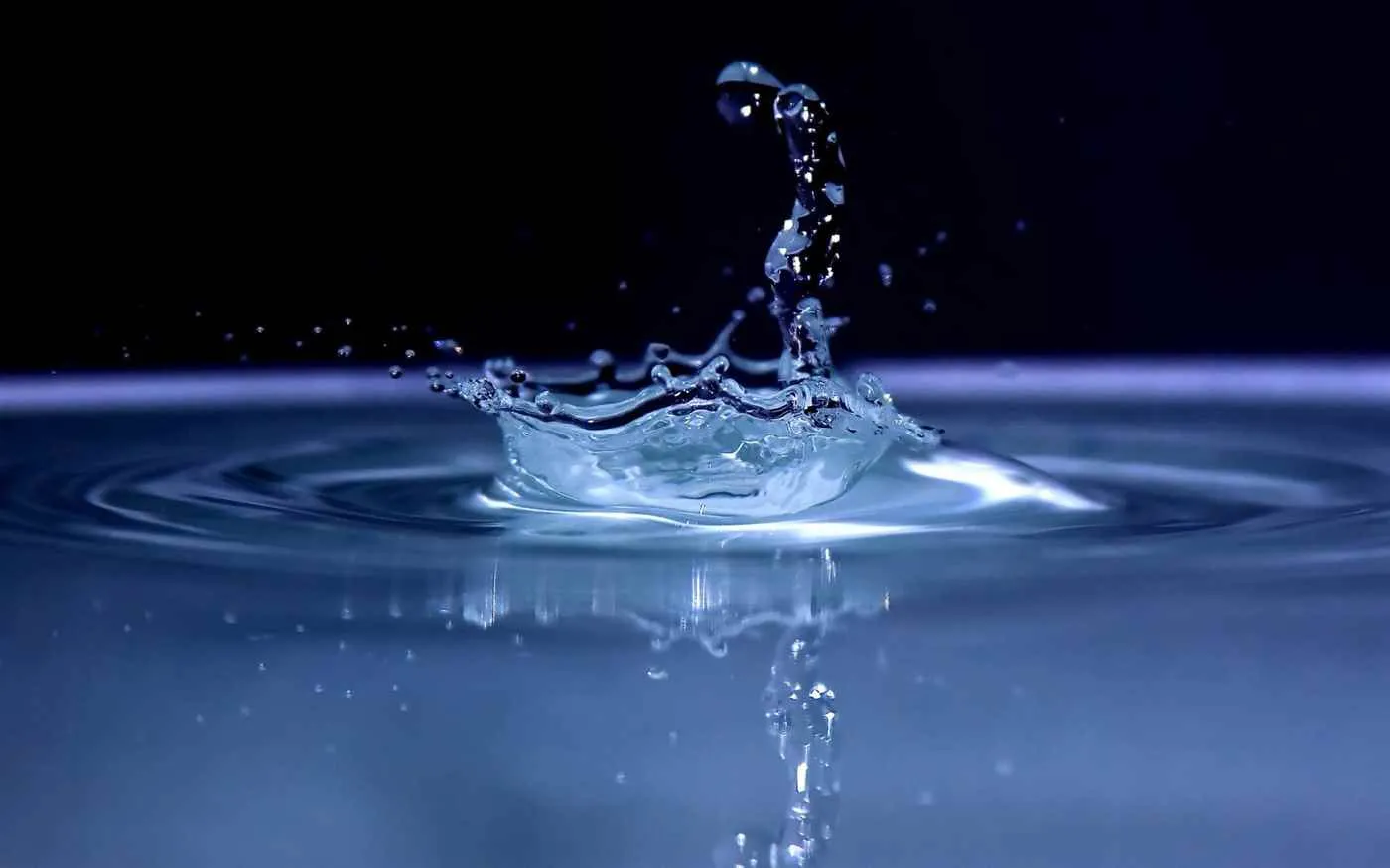 S V Associates S V Associates