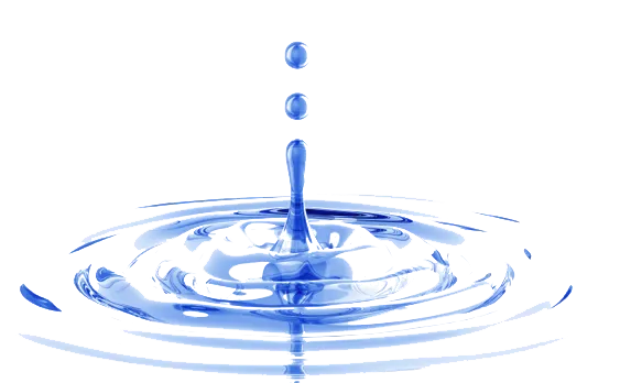 S V Associates S V Associates