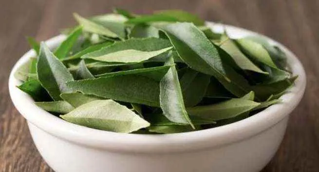 Organic Producer Group 7 Organic Producer Group 7