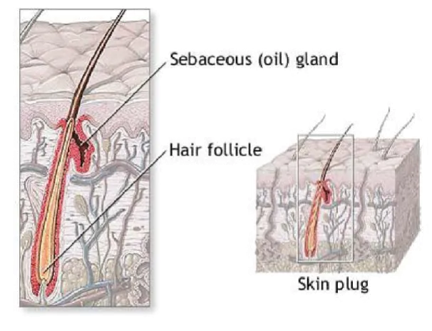 Evolve Esthetique Clinics