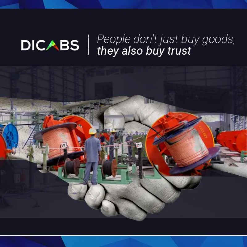 Diamond Power Infrastructure Ltd Diamond Power Infrastructure Ltd