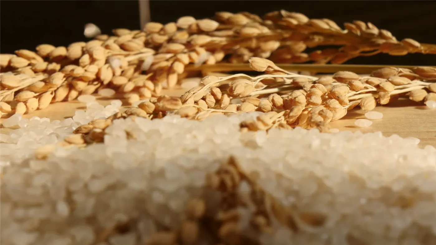 Kurnool Sonamasuri Rice