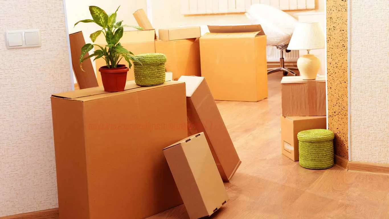 Office packing Office packing