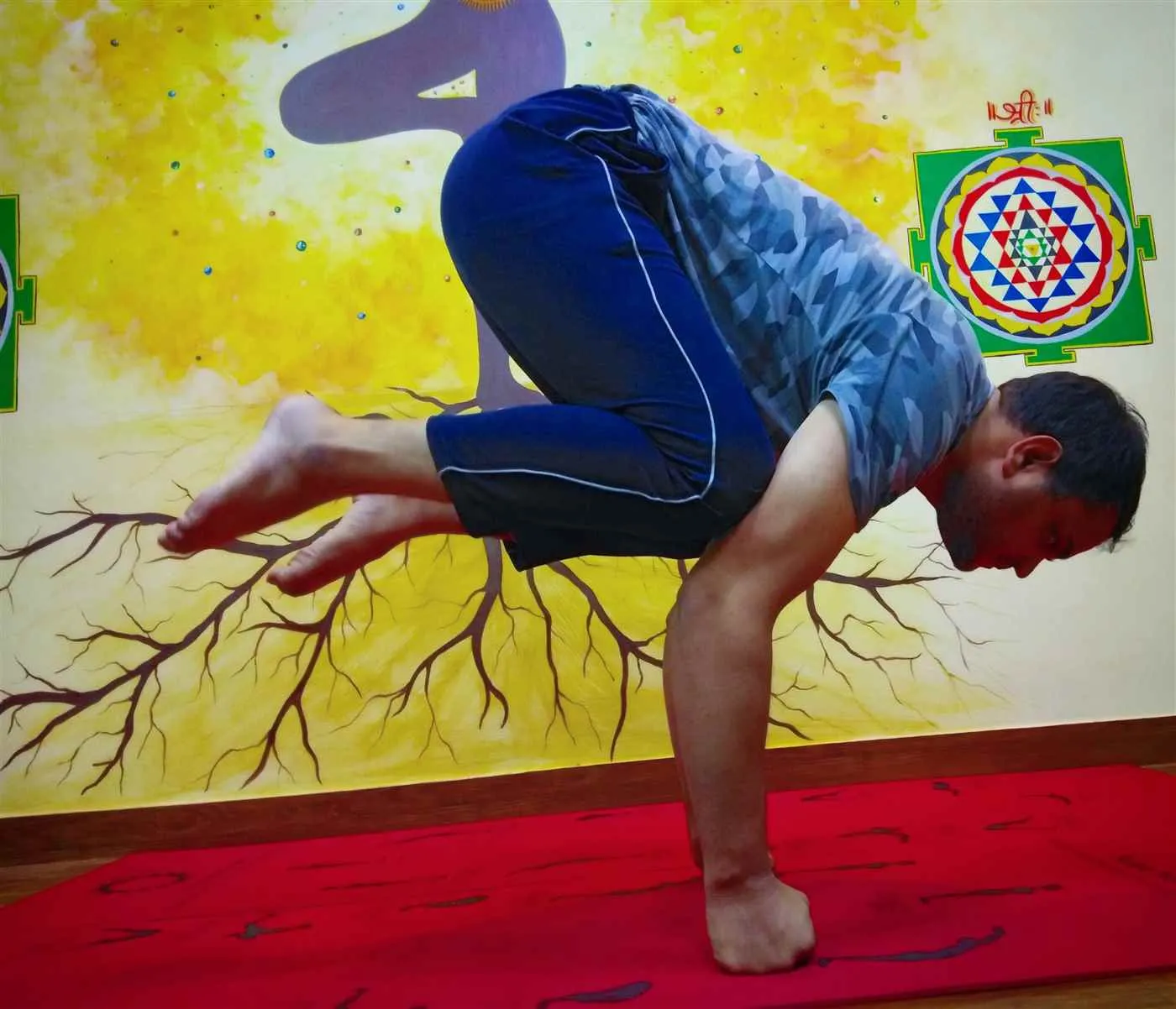 Yoga Classes By Sadhak Anshit