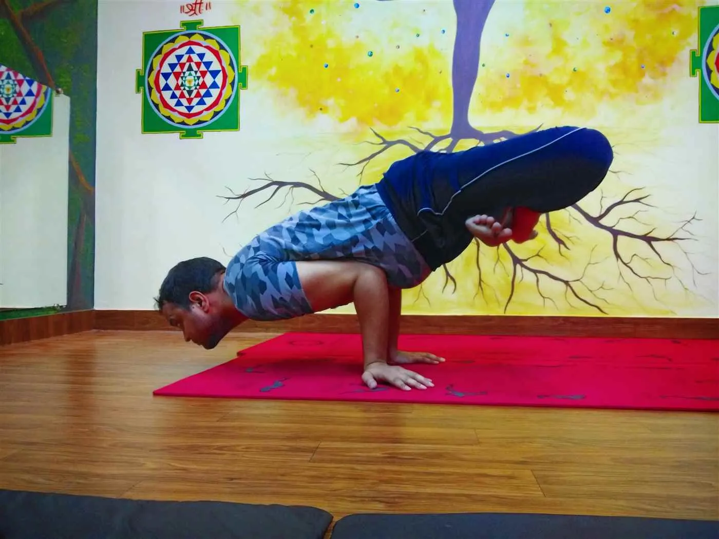 Yoga Classes By Sadhak Anshit