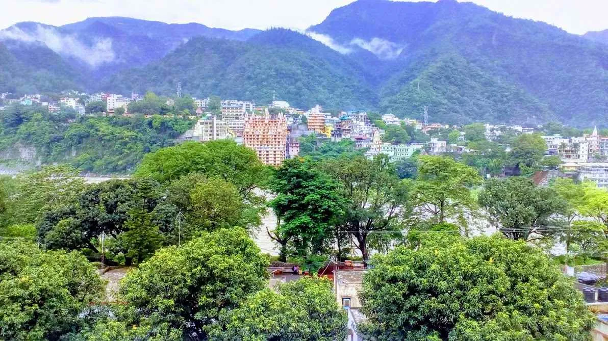 YogaTherapyFoundation