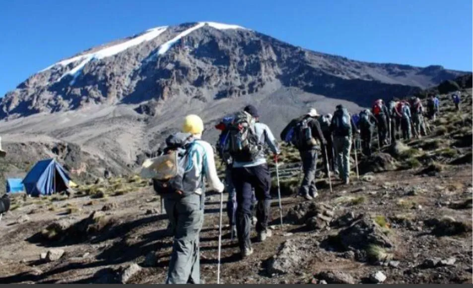 Mbasha Tours & Safaries Mbasha Tours & Safaries