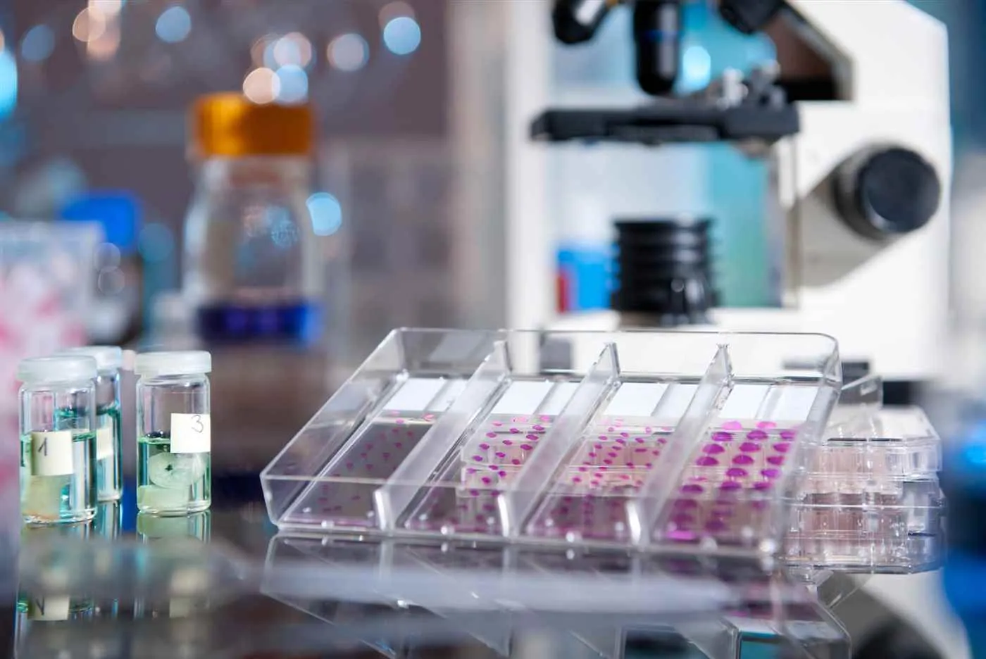 Pathword Diagnostic Pvt Ltd