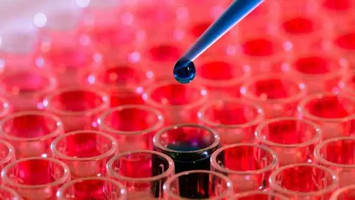 Pathword Diagnostic Pvt Ltd