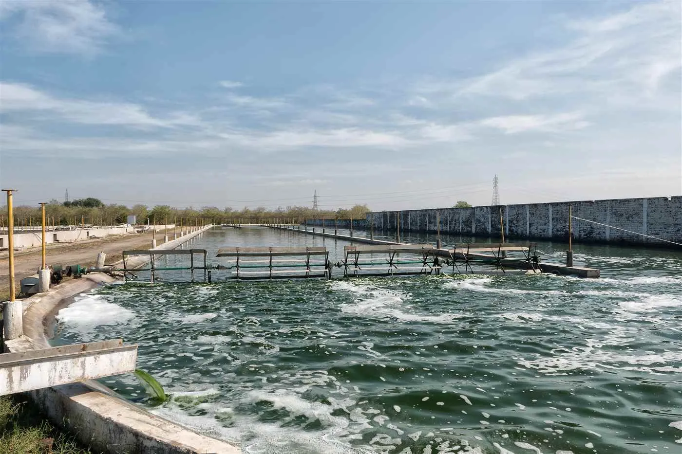 Spirulina Industries