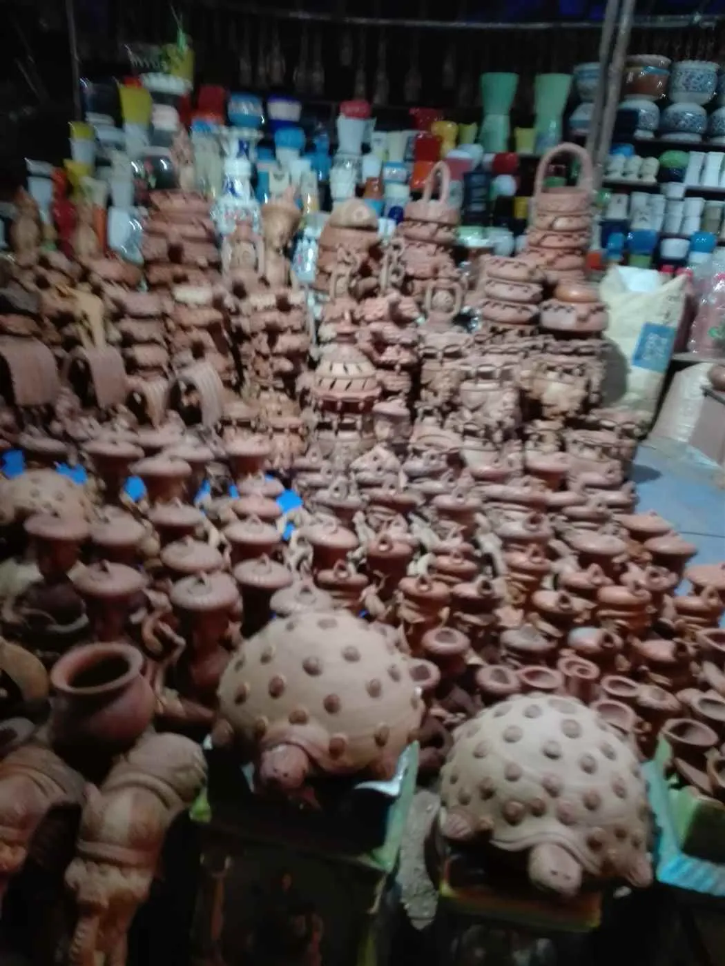 Vijay Nursery Vijay Nursery