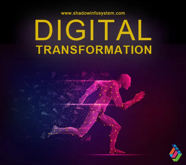 Shadow Infosystem Pvt Ltd