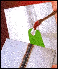 Surface Innovators LLP