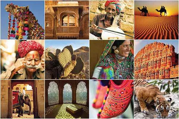 Dhanvi Tour Dhanvi Tour