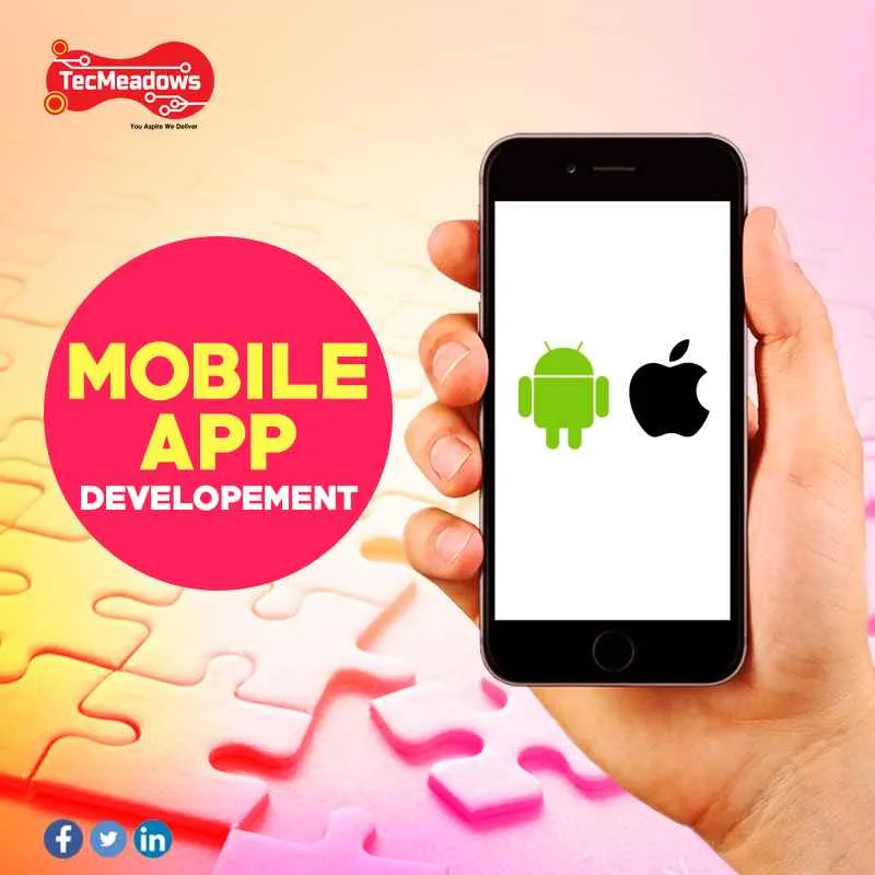 TecMeadows Inc TecMeadows Inc