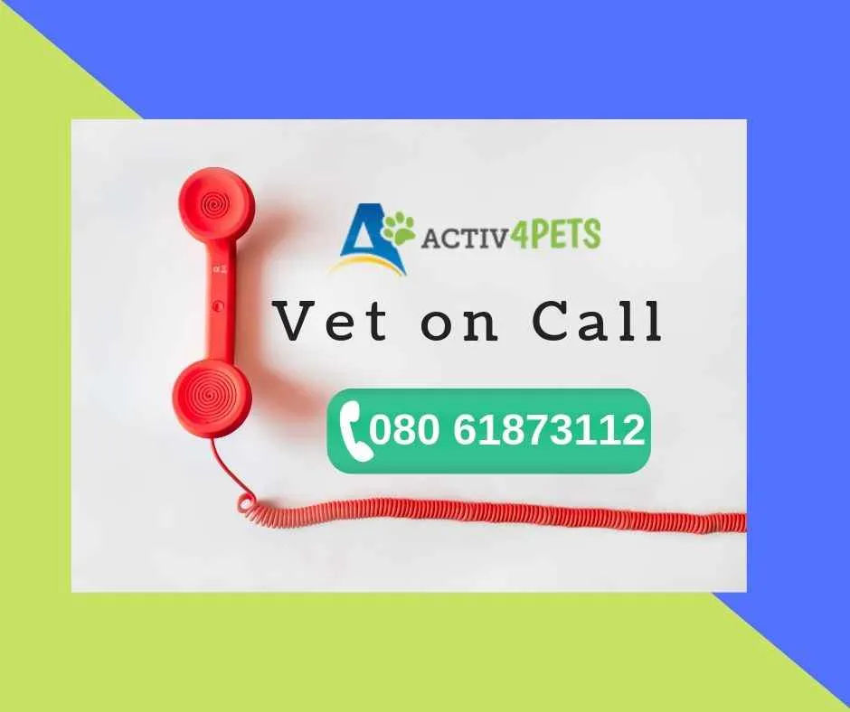 Activ4Pets Activ4Pets