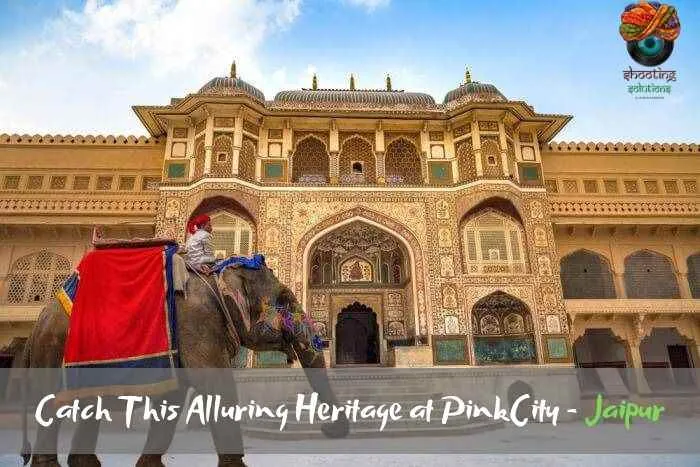 Shooting Solution Shooting Solution