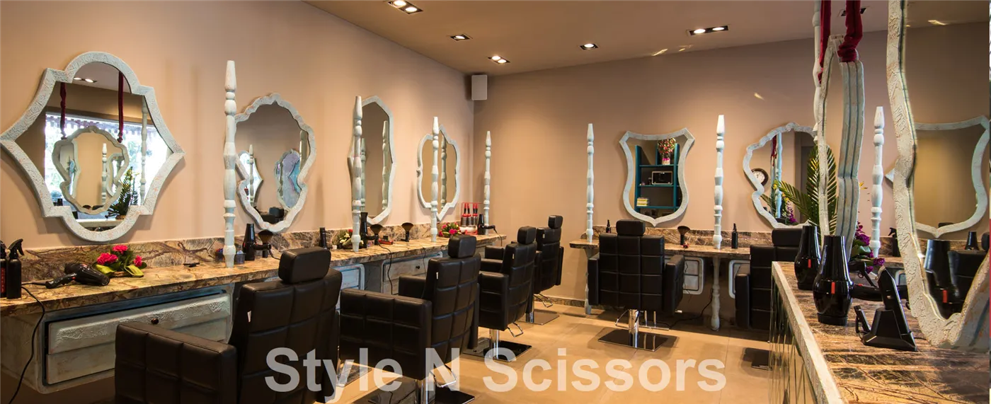 Style N Scissors Style N Scissors