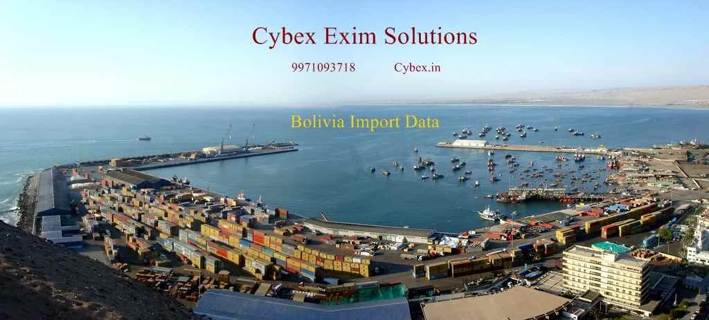Cybex Exim Solutions Pvt Ltd