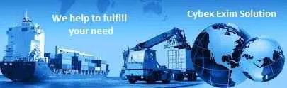 Cybex Exim Solutions Pvt Ltd