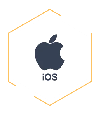 Beyond Root Technology Services