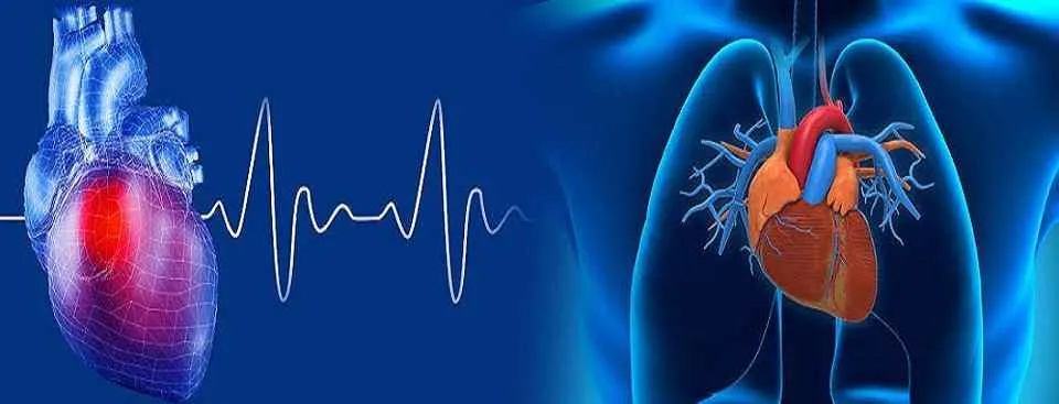 Manan Heart Care Centre Manan Heart Care Centre