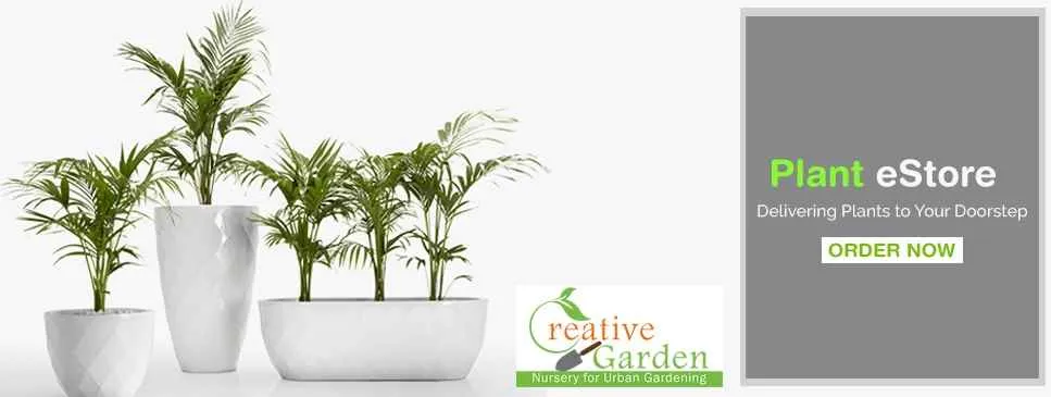 CREATIVE GARDEN