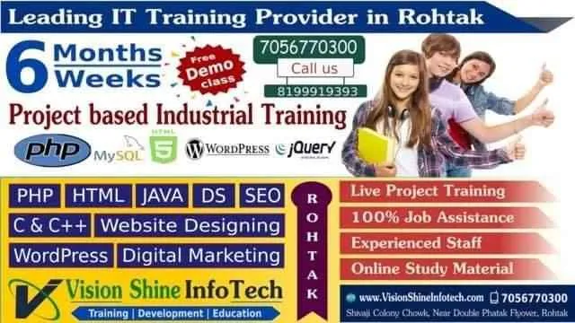 Vision Shine Infotech