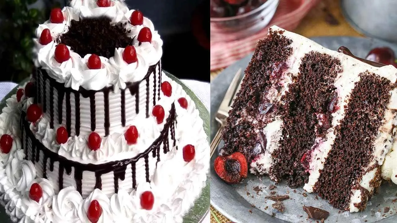 Sugar And Scissors Sugar And Scissors