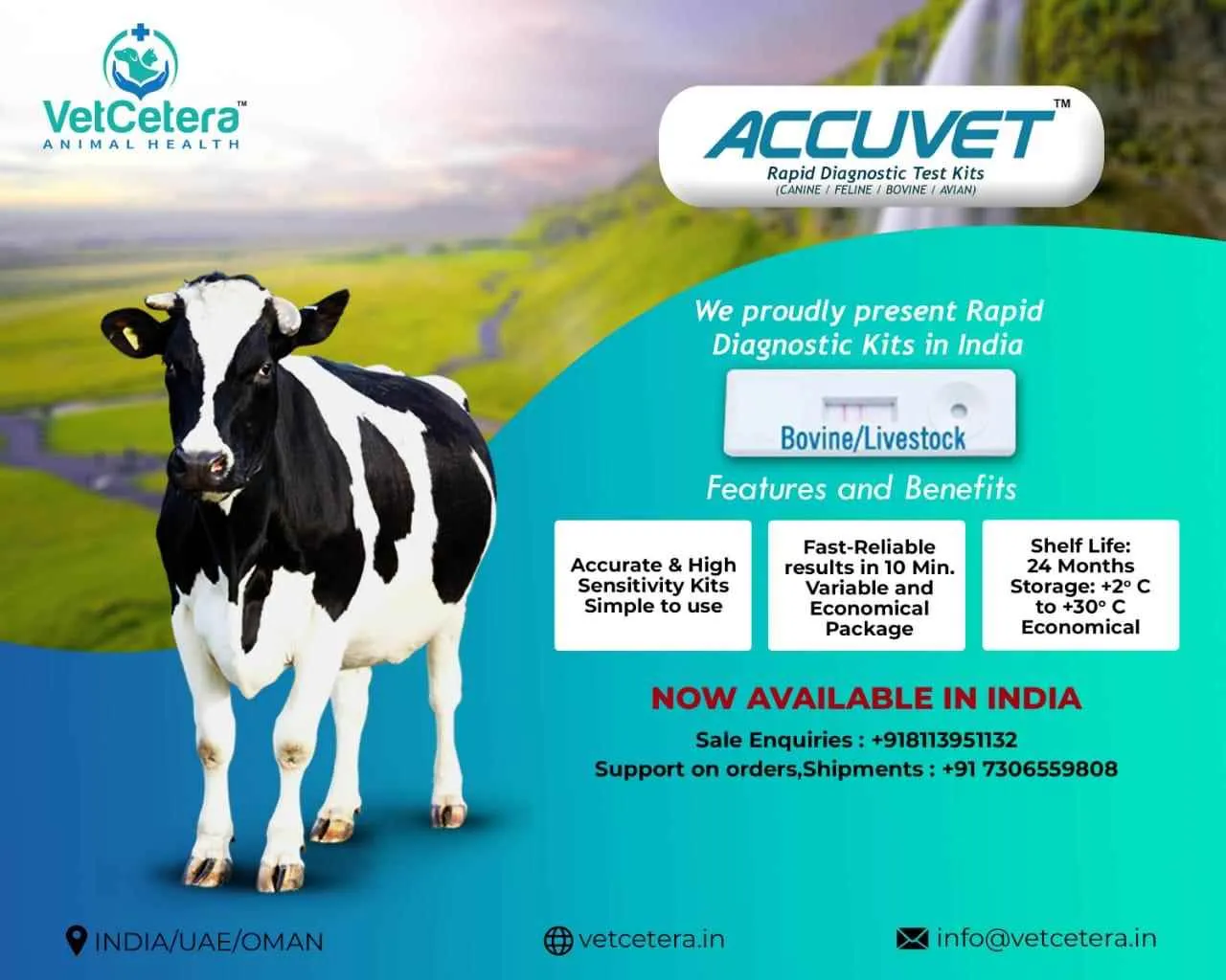 VetCetera veterinary VetCetera veterinary