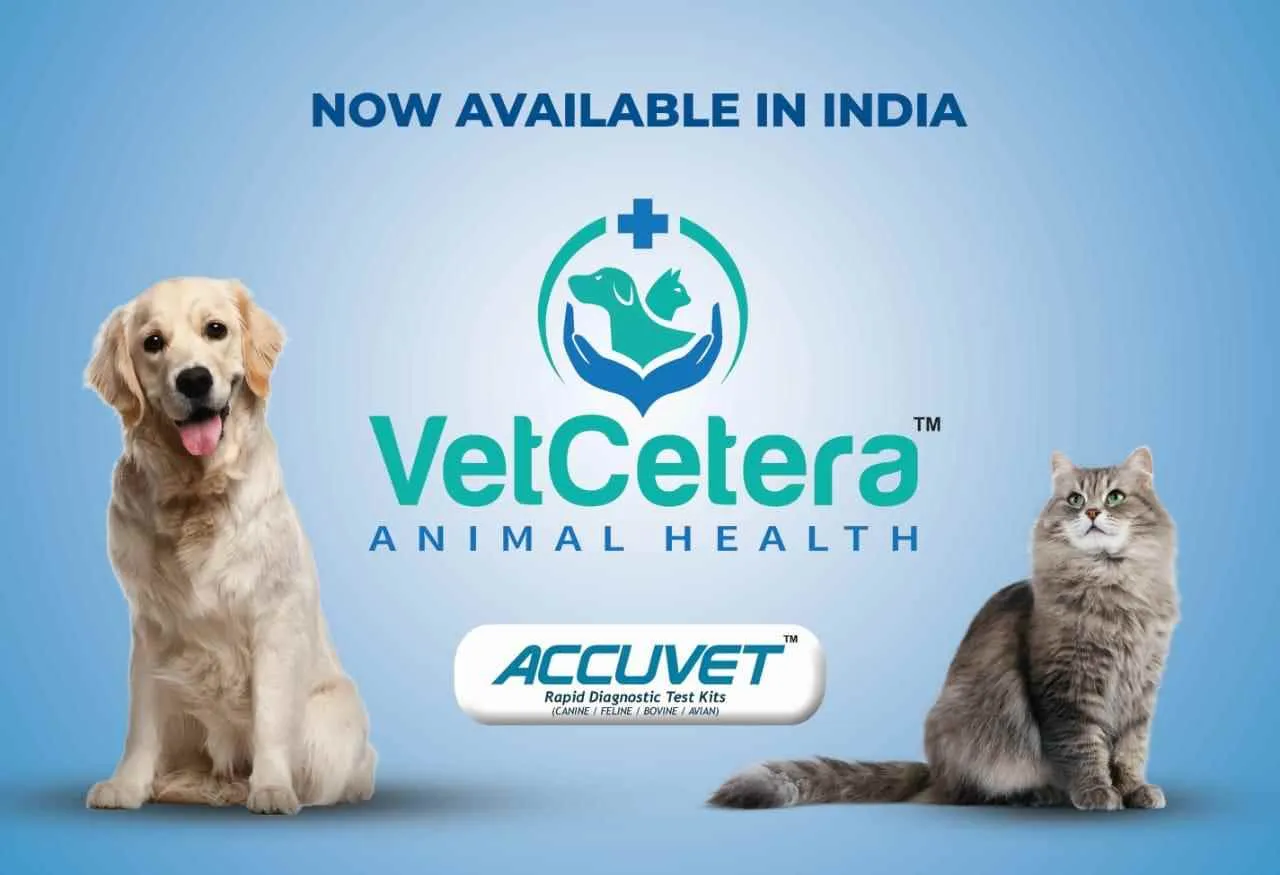 VetCetera veterinary VetCetera veterinary