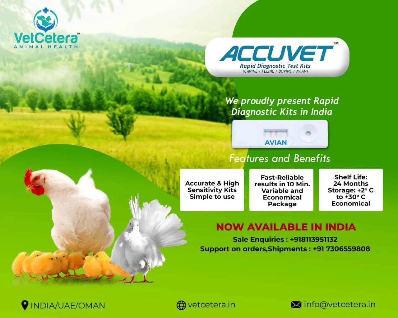 VetCetera veterinary VetCetera veterinary